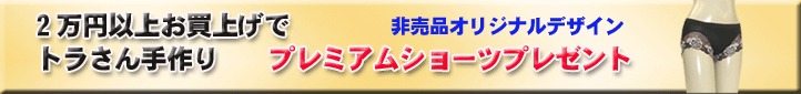 �g���^�j�v���~�A���V���[�c�����v���[���g