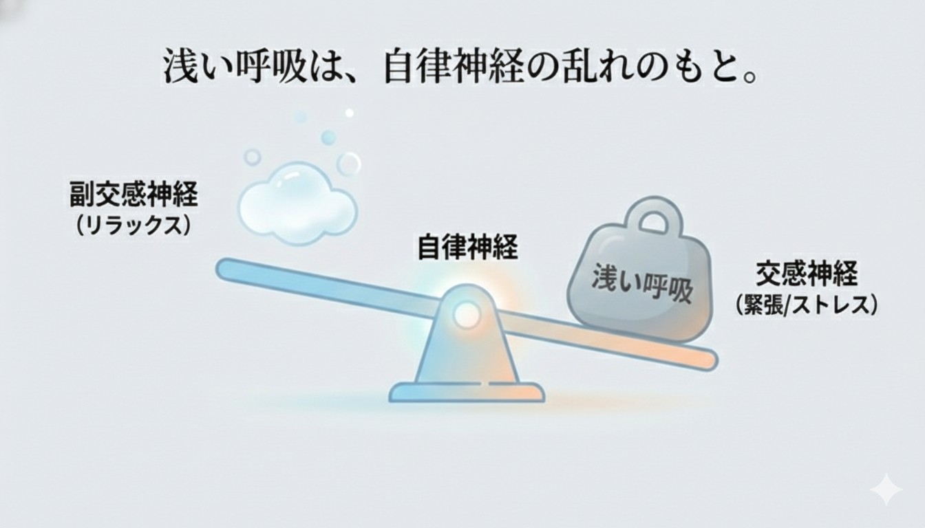 日中の健康習慣のイメージ